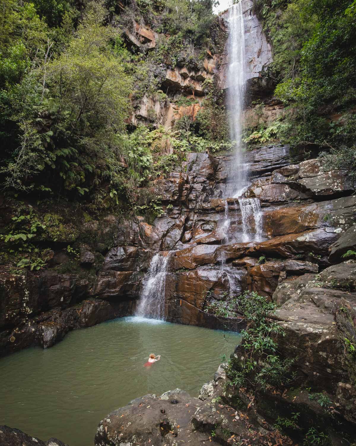 Walk to the bottom of Kelly Falls - THings to do in Wollongong