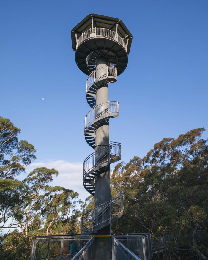 The Tower at Illawarra Fly