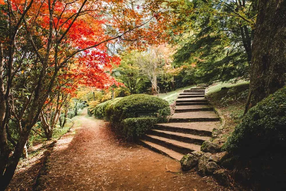 Breenhold Gardens: our favourite photography spots and tips for your visit — Walk My World