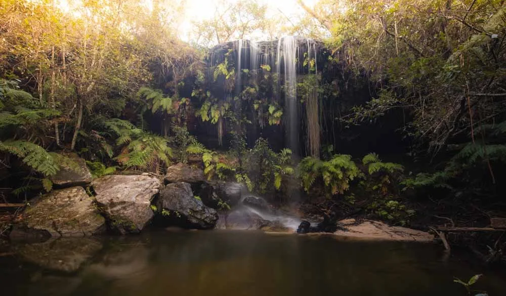 The Transit of Venus: three pretty waterfalls on one trail