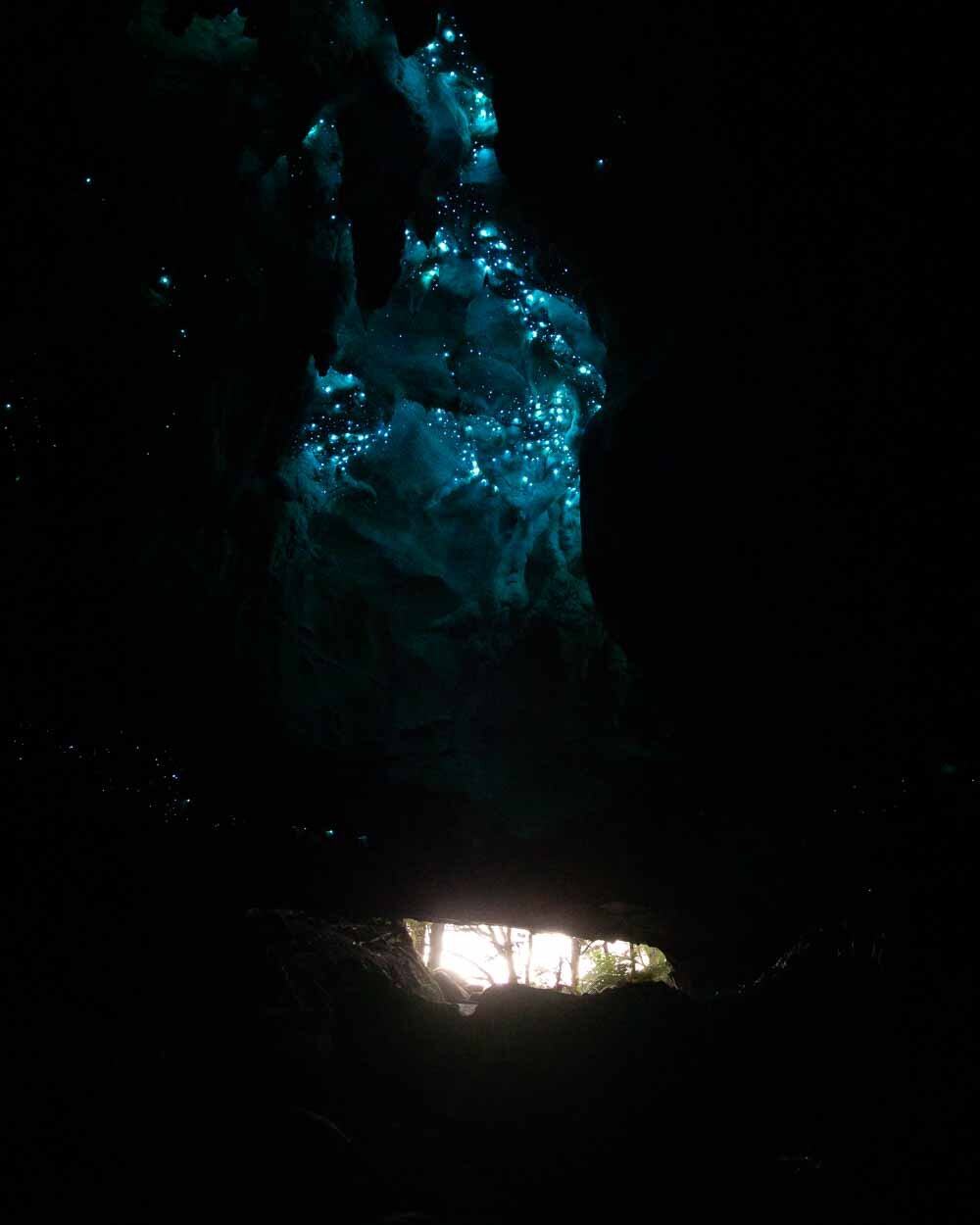Waipu Caves: where to find the best glow worm displays — Walk My World