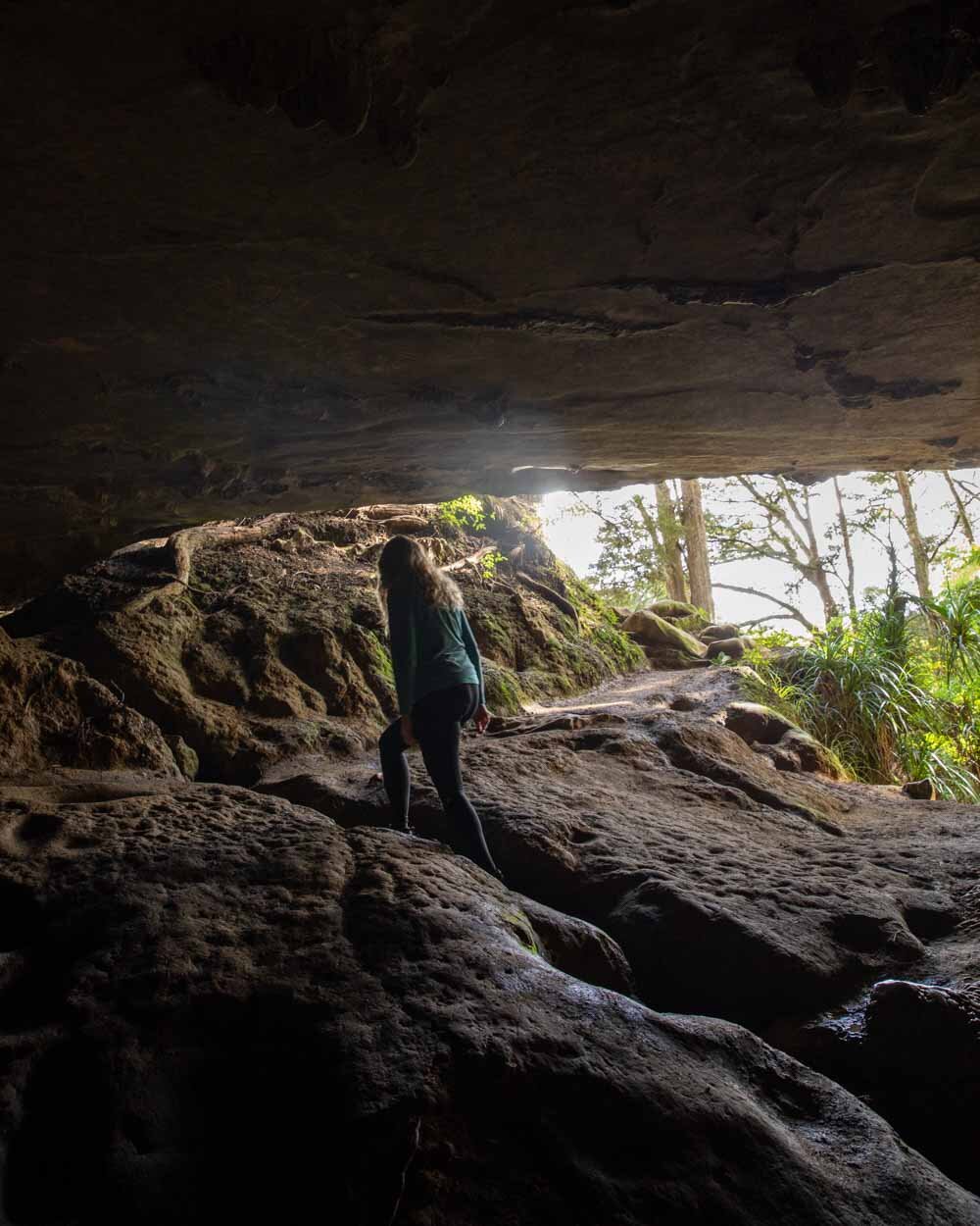 Waipu Caves: where to find the best glow worm displays — Walk My World