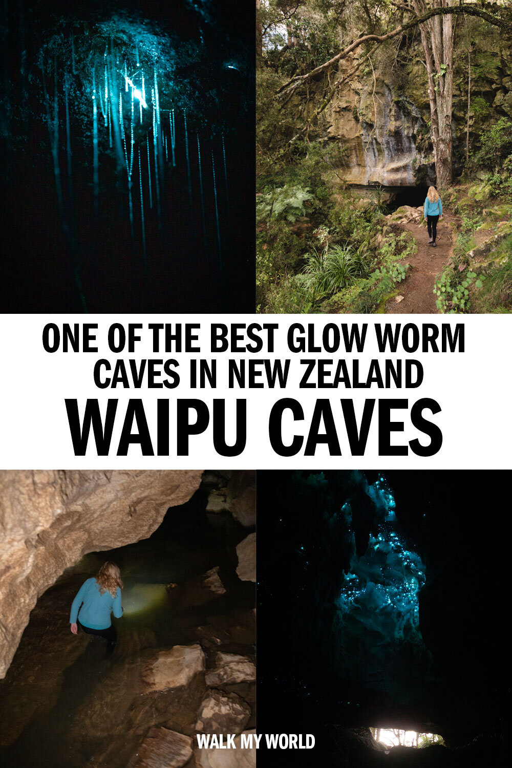 Waipu Caves, Glow Worms and Other Things to Do in Waipu New