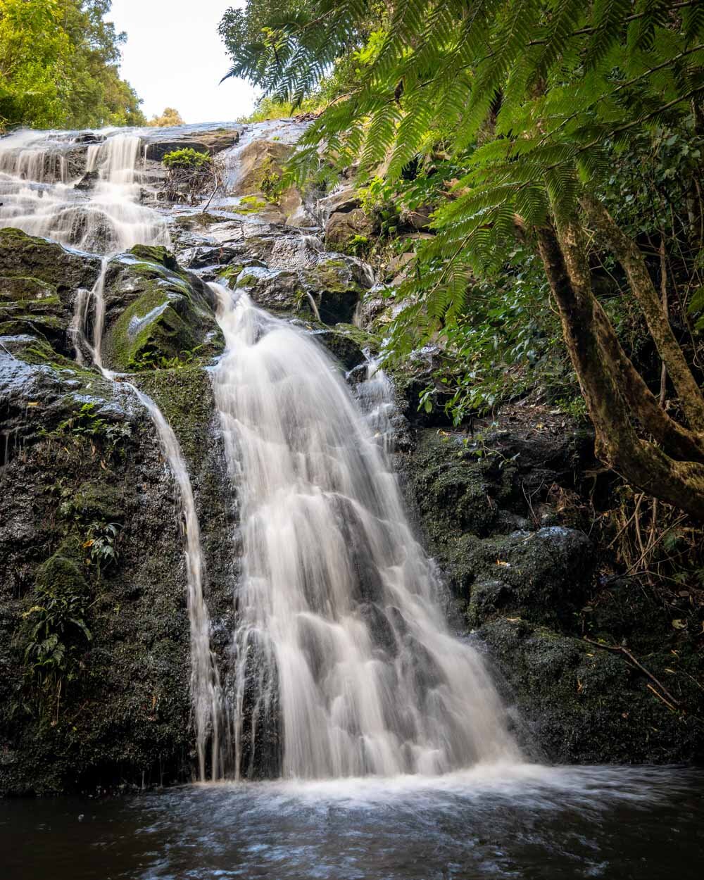 6 stunning Kerikeri Waterfalls that you shouldn't miss — Walk My World