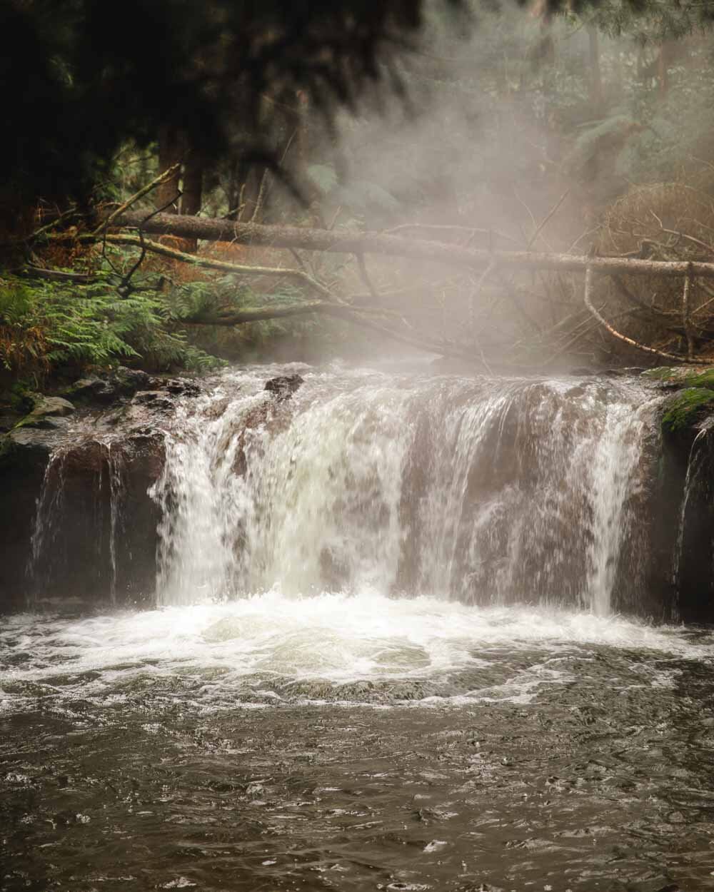 Rotorua S Hot Spring Waterfall Kerosene Creek Walk My World