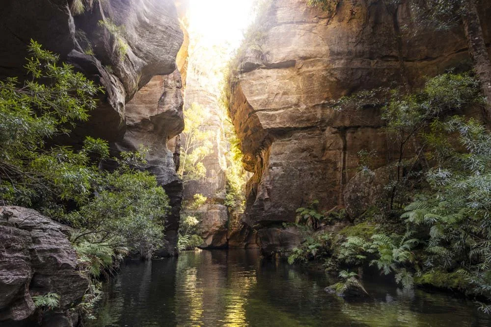 Read this before taking on the magnificent Wollangambe Canyon One