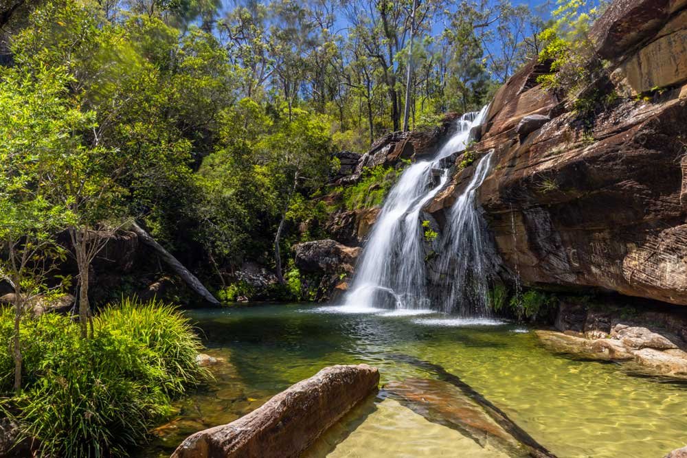 Scouts Falls: an amazing waterfall you can swim under near Coffs Harbour