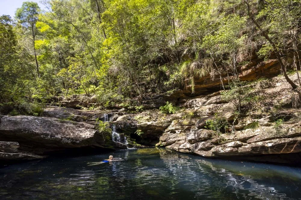 Shaws Creek Pool: a hidden swimming hole in the Blue Mountains