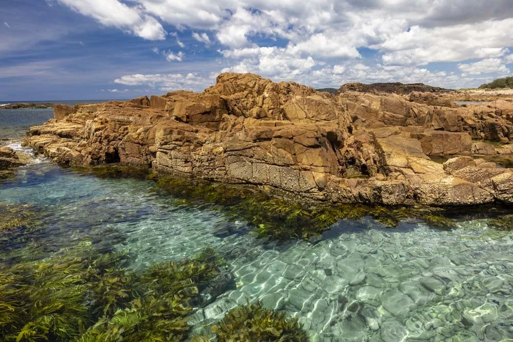 Little Rocky Rockpool: a hidden family friendly rockpool in Port Stephens
