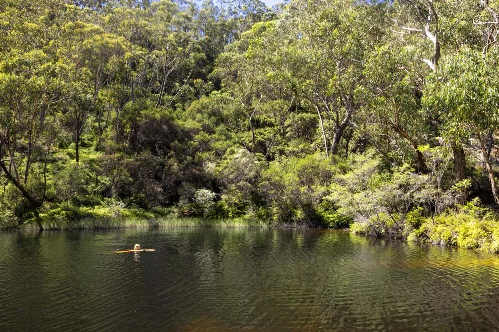 Ingar Campground: a secluded campground and waterhole in the Blue Mountains