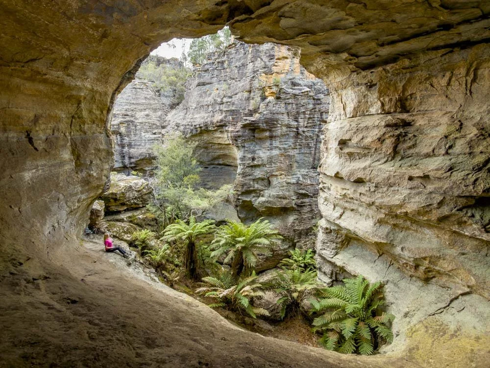 Acoustic Canyon: an amazing adults adventure playground