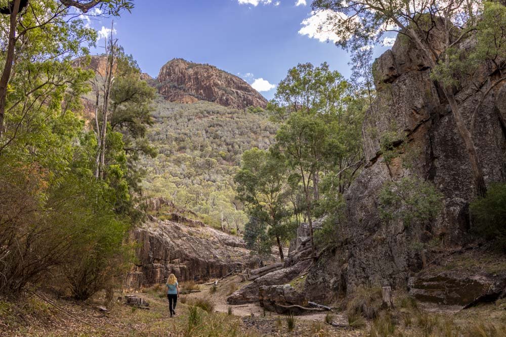 Wambelong Nature Track: the best easy walk in the Warrumbungles