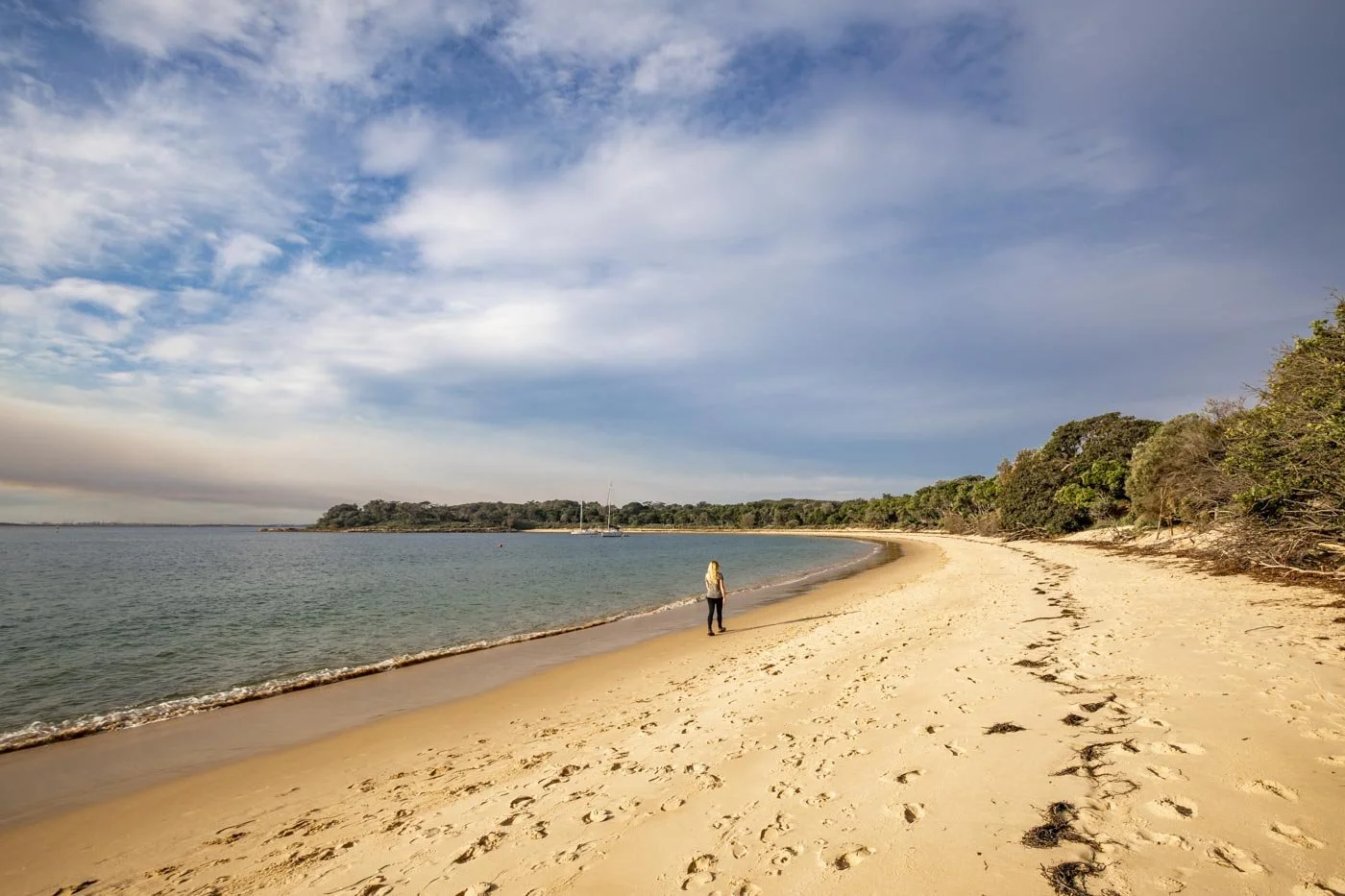 Jibbon Beach Loop Track: an easy but breathtaking walk in Royal National Park