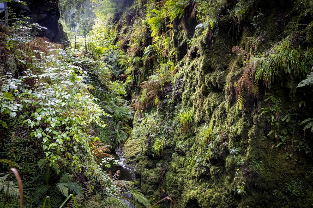 Devil's Cauldron: one of the most atmospheric walks in England 