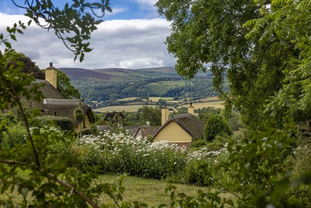 Selworthy Beacon Circular Walk: woodland, sea views and lots of Exmoor ponies