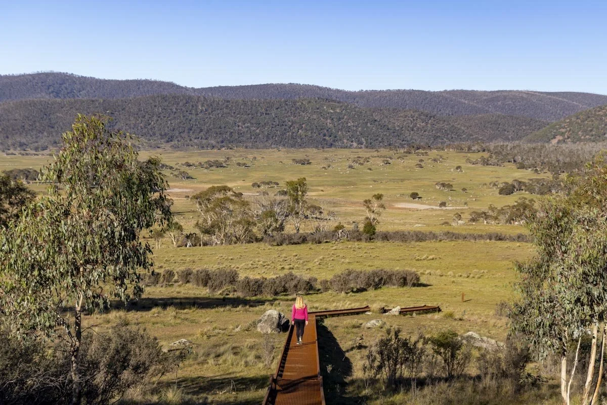 Yankee Hat Walk: an stunning easy walk to the ACT's only accessible Aboriginal art site