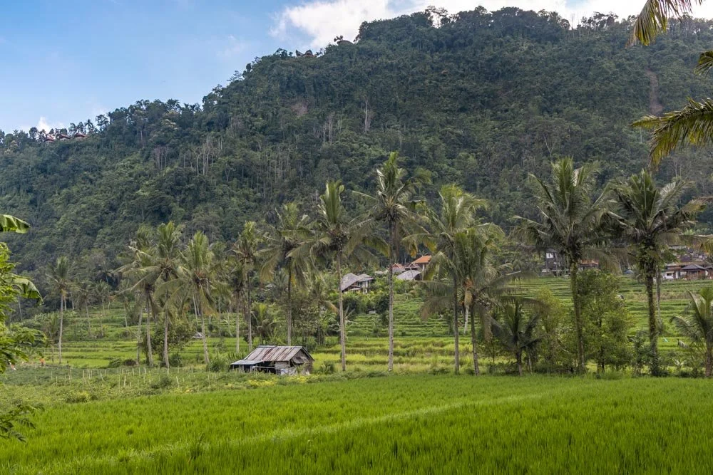 Sidemen Rice Terrace Walk - the best thing to do in Sidemen