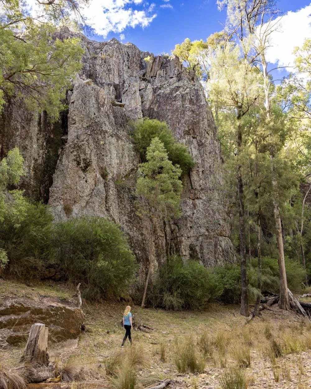 Wambelong nature track