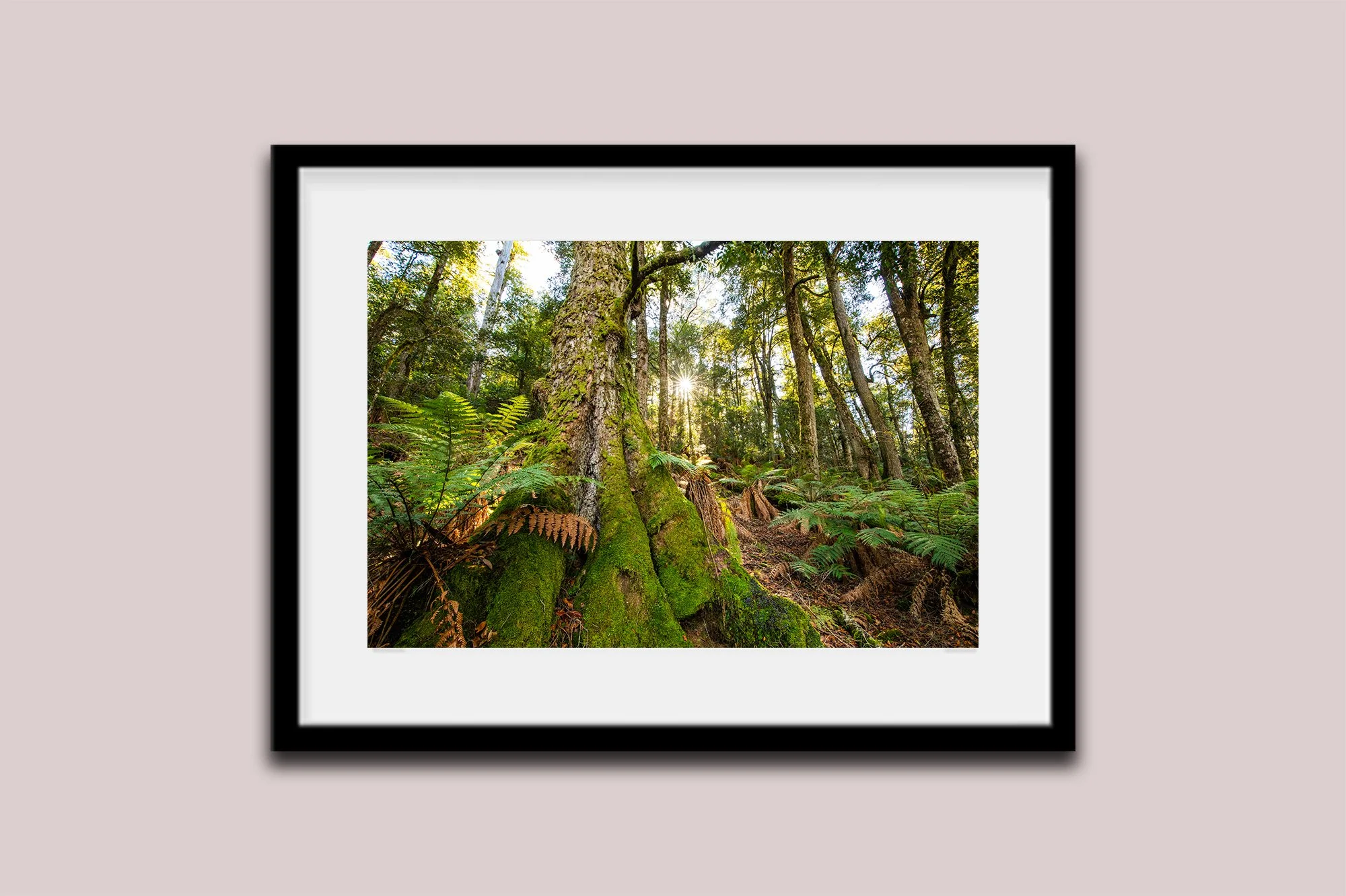 Frame-2.jpg