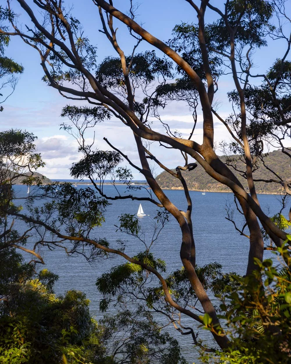 Patonga to Pearl Beach Walk: hidden caves and the secret beach beyond ...