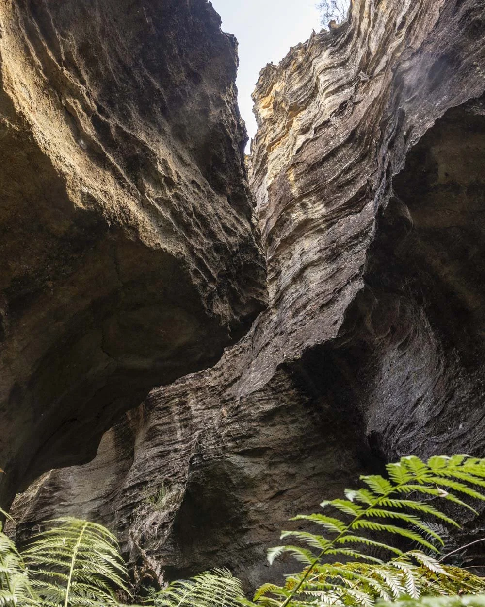 Acoustic Canyon