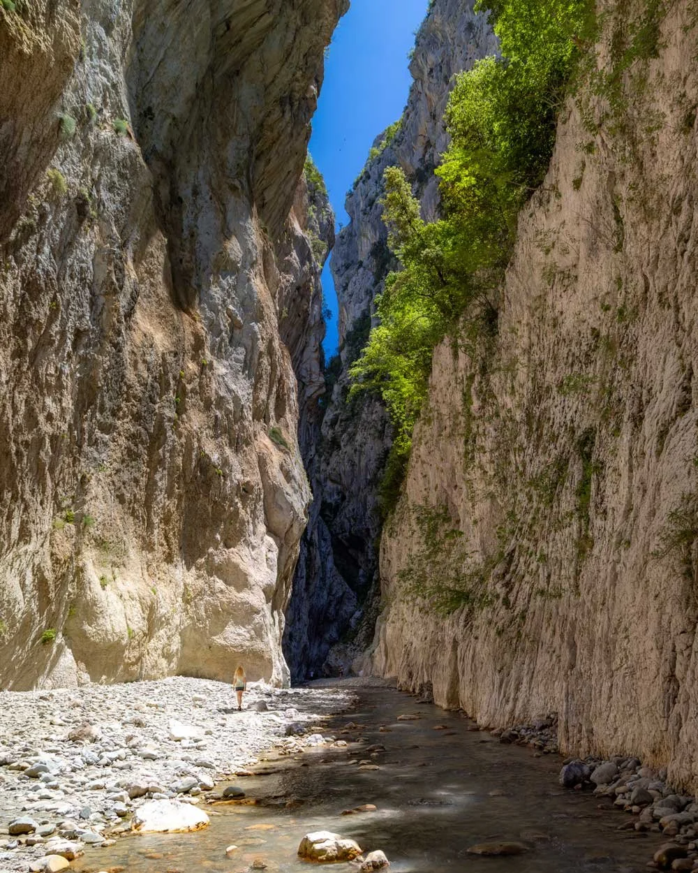 Holta Canyon