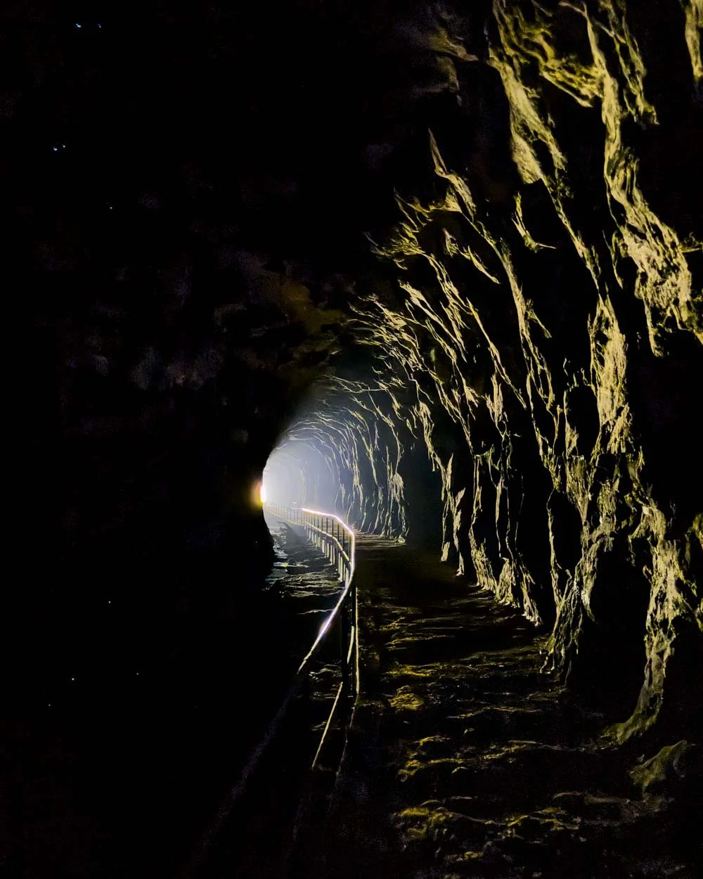 Inside the glow worm tunnel