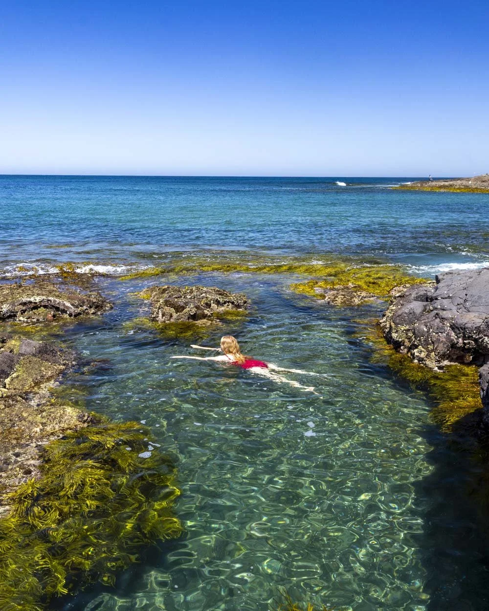 Maloneys Bay rockpool