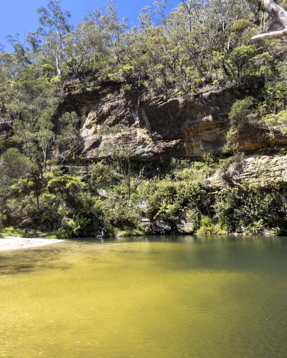 Paradise Pool - Wild Swimming holes in the Blue Mountains