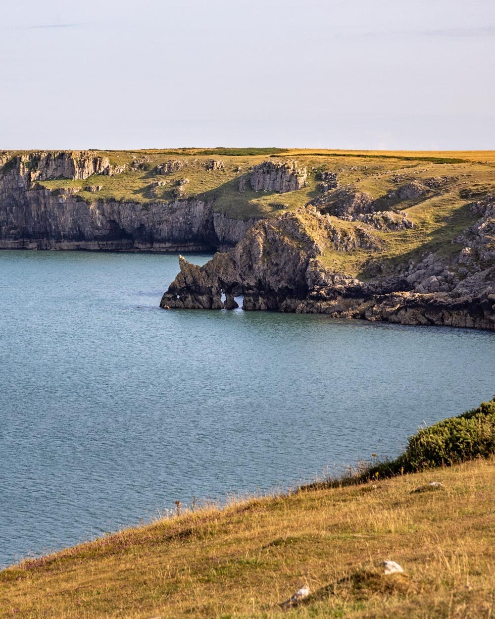Barafundle Bay Walk: is this the best coastal walk in Wales? — Walk My ...
