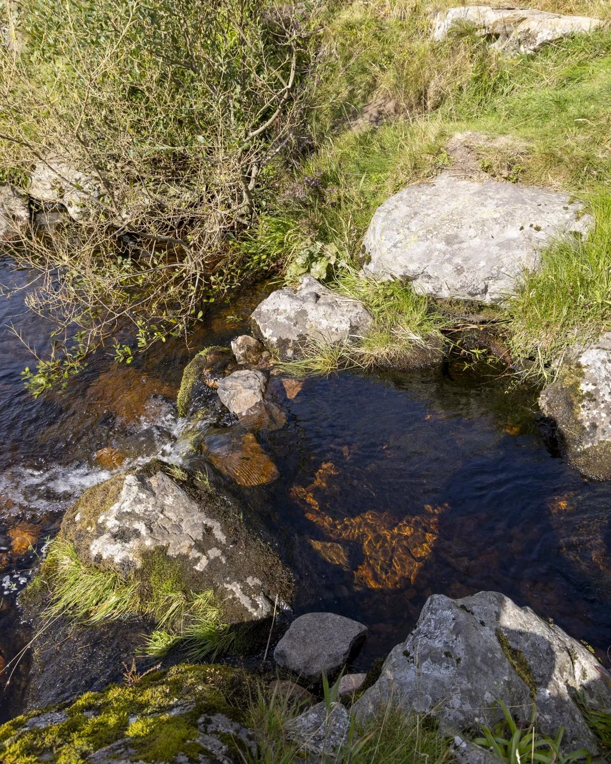 Hen hole waterfalls walk