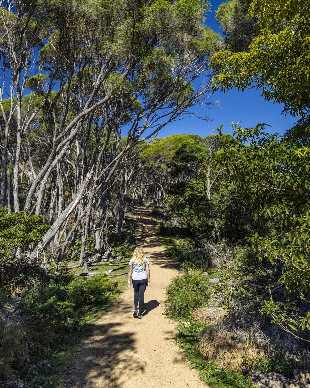 Walking to wallagoot gap