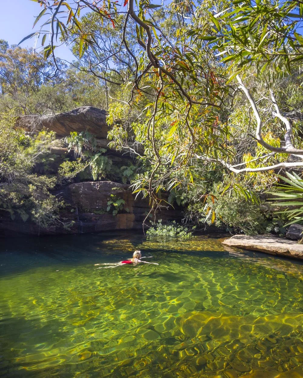 Curracurrang Falls in Royal National Park