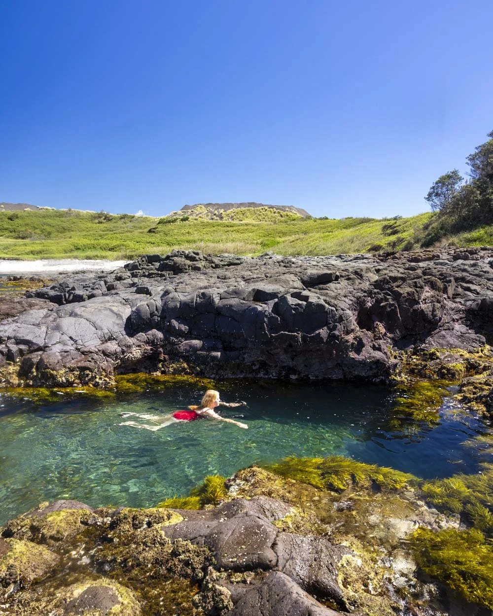 How to find Shellharbour's secret rockpools at Maloneys Bay — Walk My World