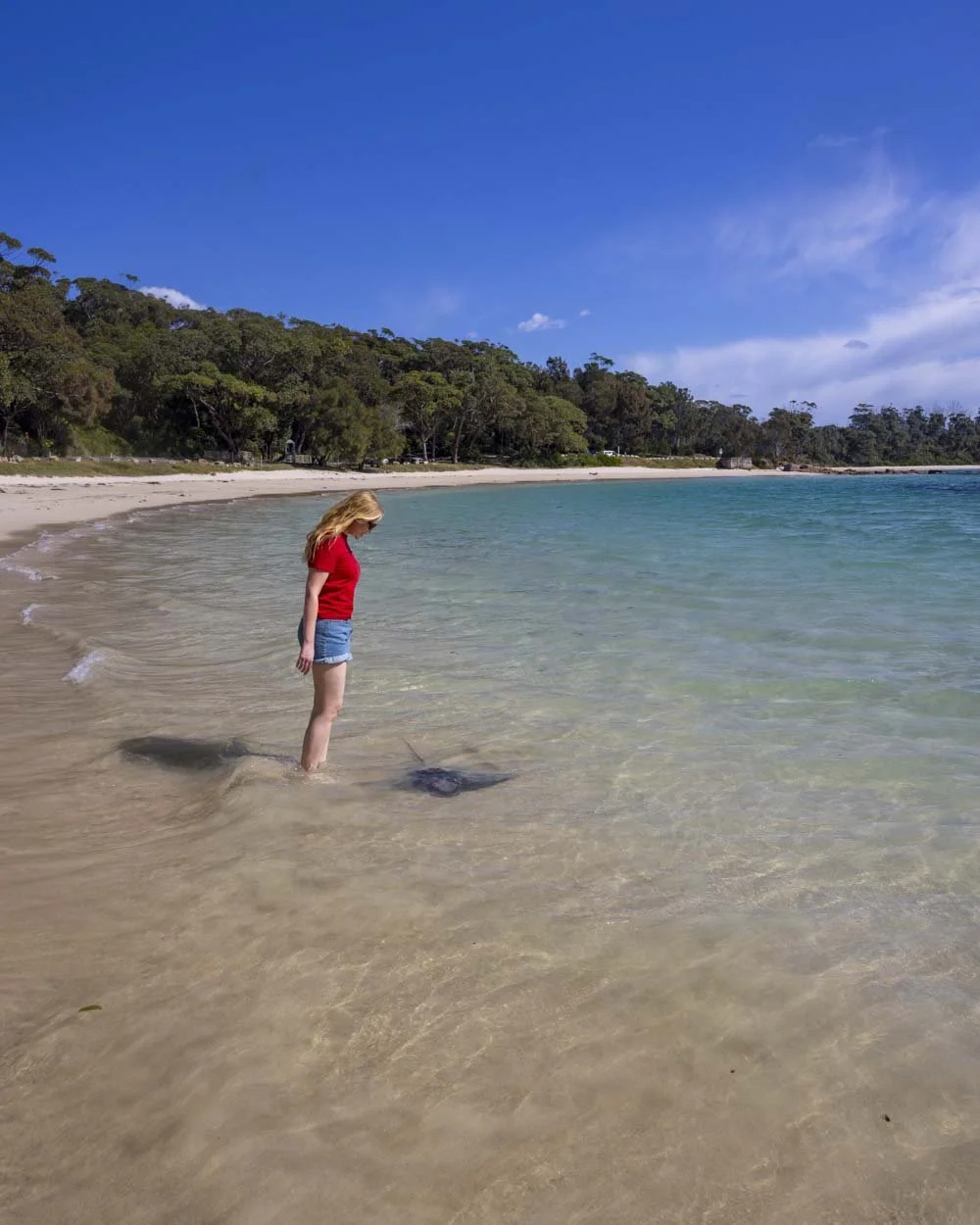 Tips For Visiting The Bendalong Stingrays and A Secret Sea Cave Nearby tips-for-visiting-the-bendalong-stingrays-and-a-secret-sea-cave-nearby