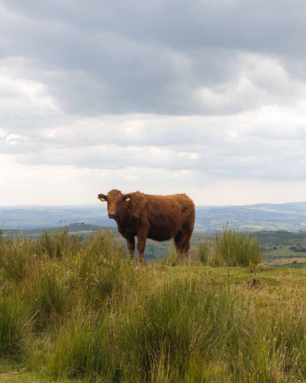 Foggintor Quarry Walk - The Globe Trotter