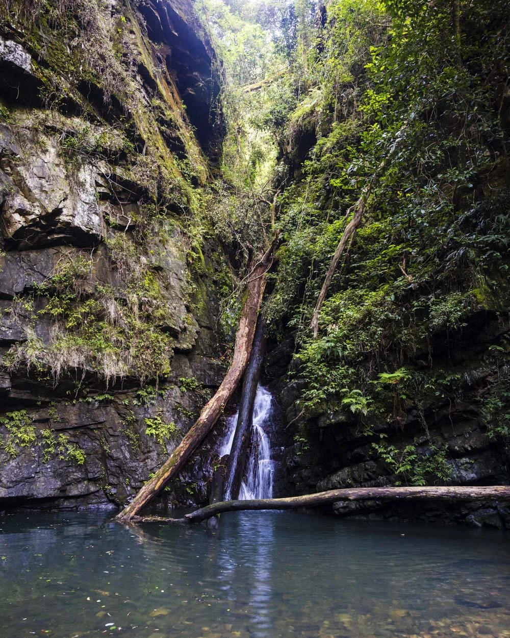 Problem Creek Falls: wild swimming at Barrington Tops' secret waterfall ...
