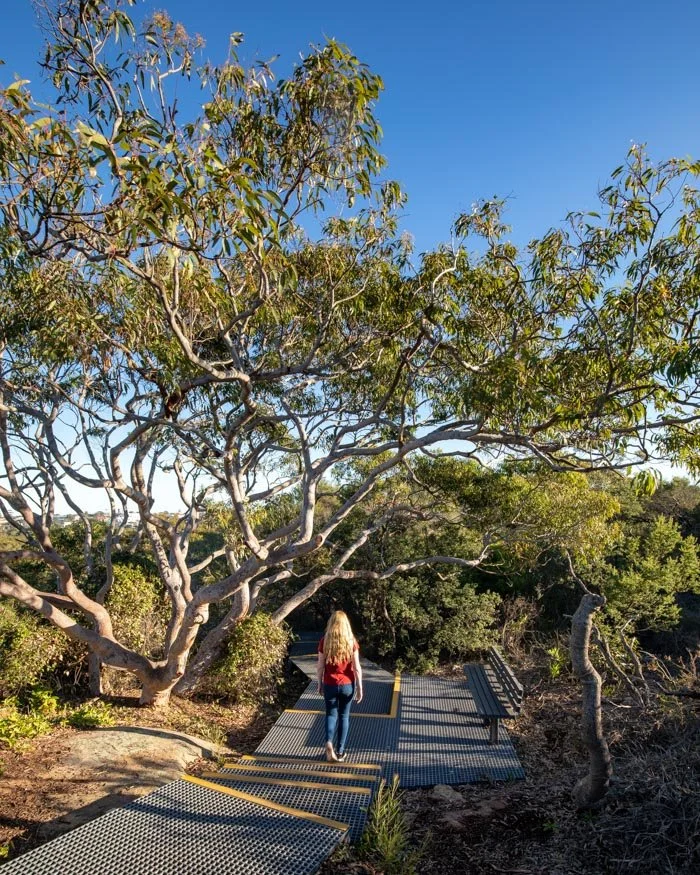 malabar headland