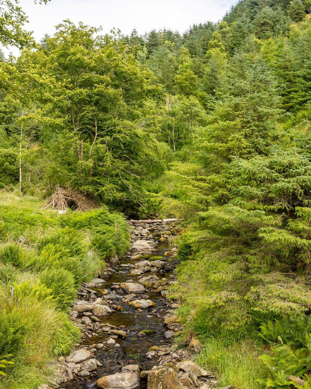 Spout Force the Lake District's hidden waterfall — Walk My World