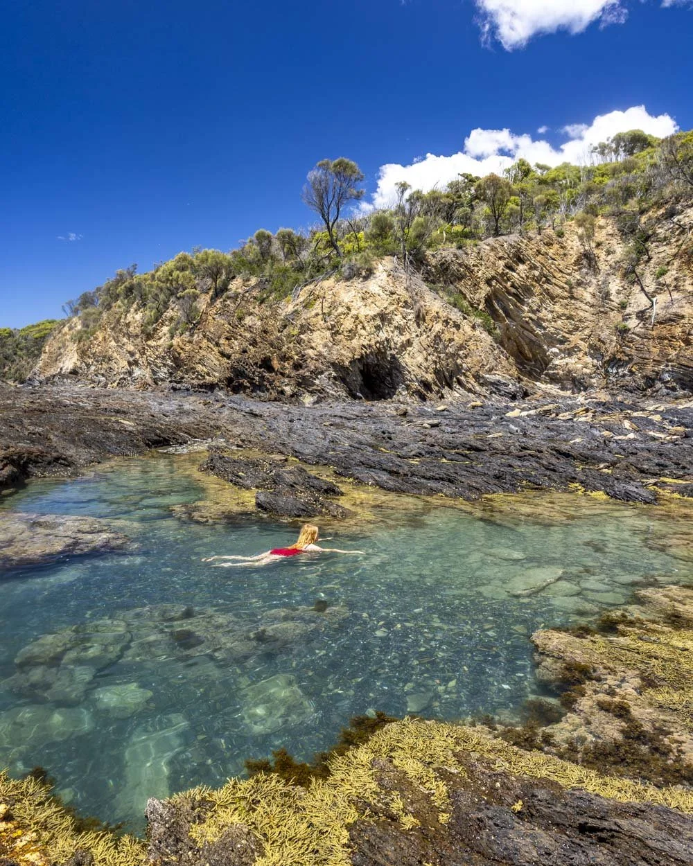 Honeysuckle Beach Rockpools