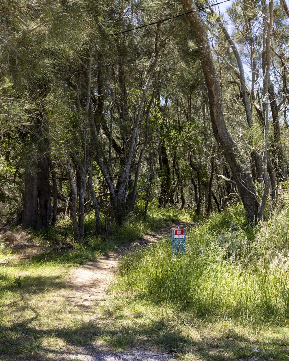 the path to the beach