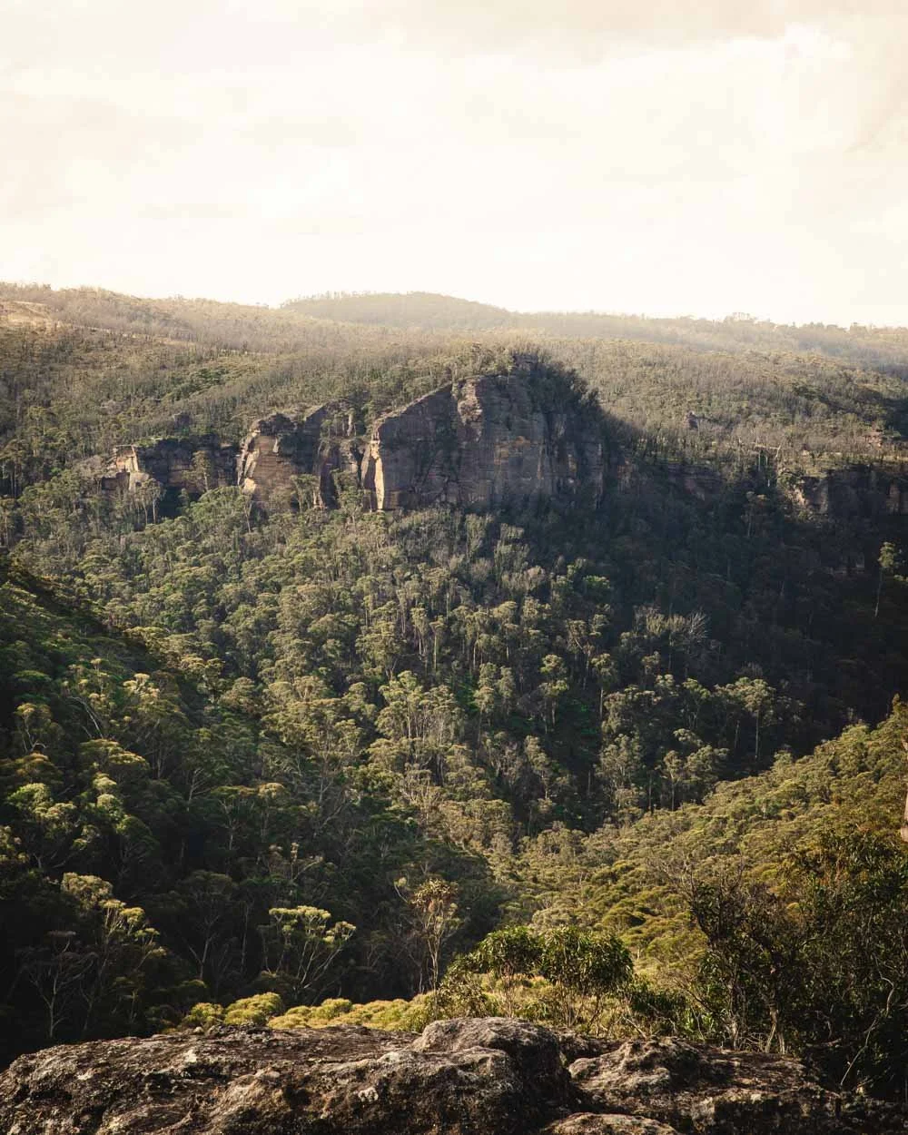 Ikara Head Walk