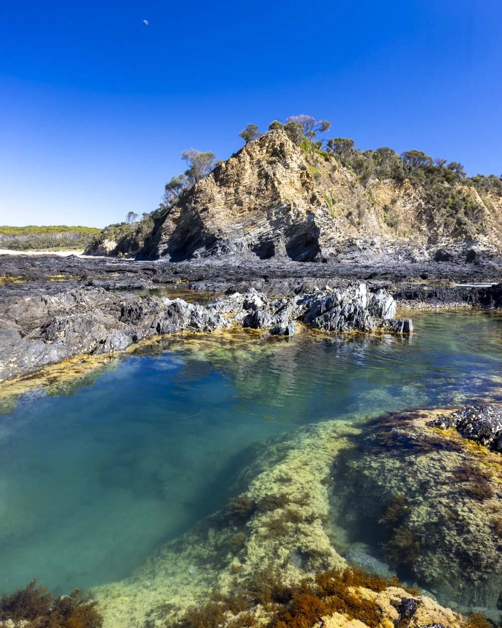 North Head Rockpools