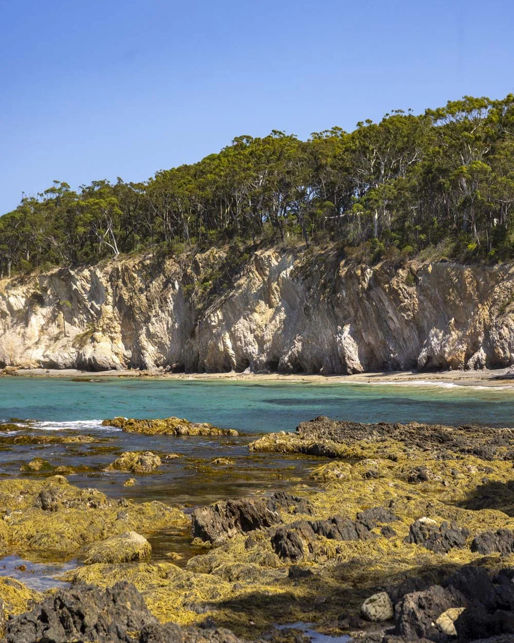 Lilli Pilli Rockpool