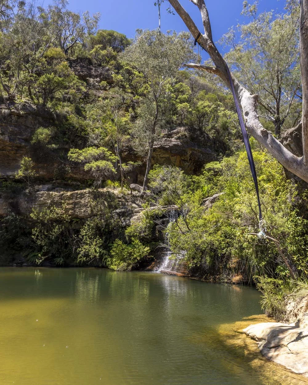 Paradise Pool - Wild Swimming holes in the Blue Mountains