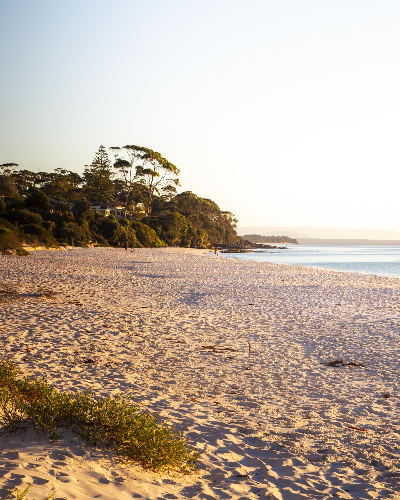 hyams beach