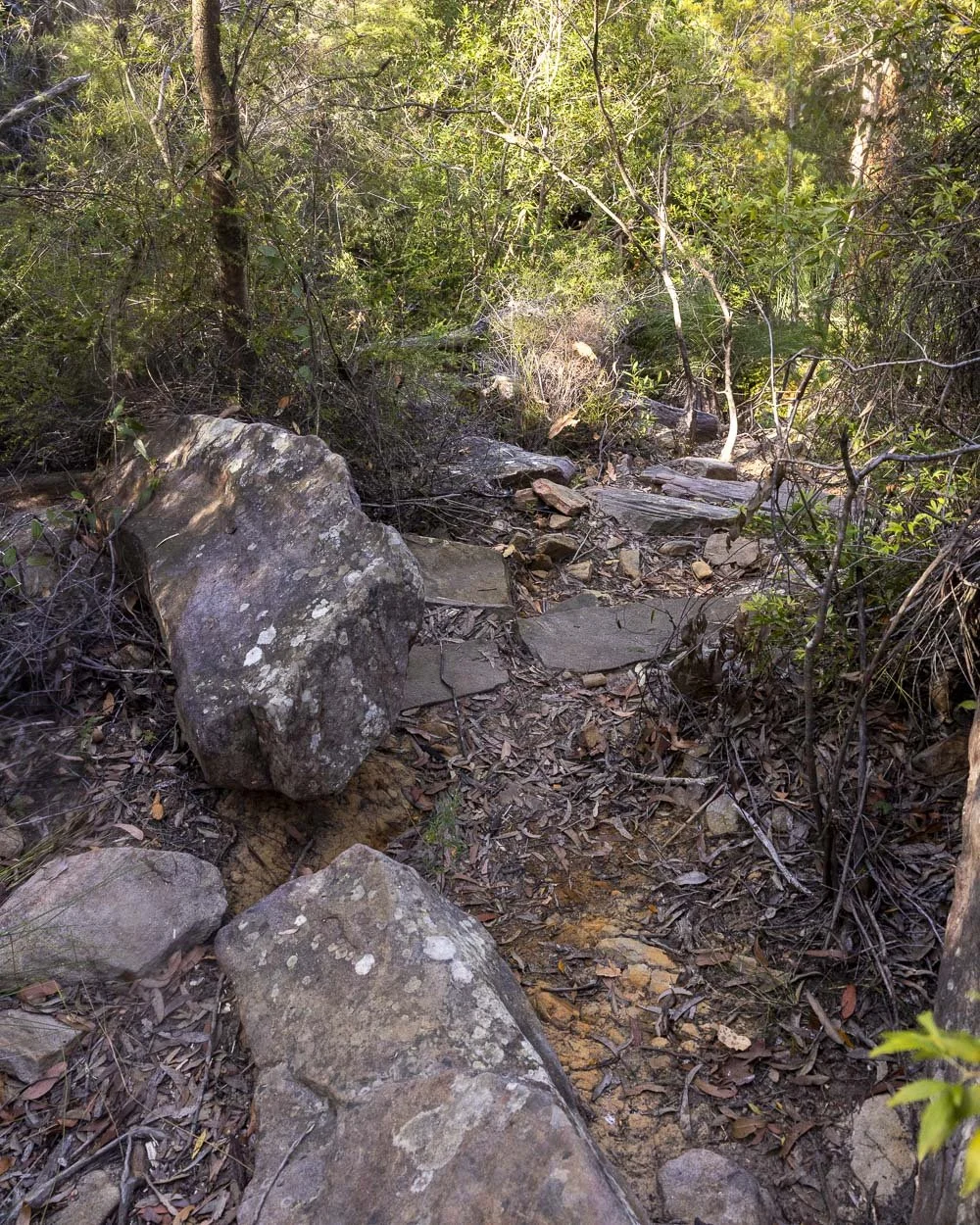 track to the bottom of uloola falls