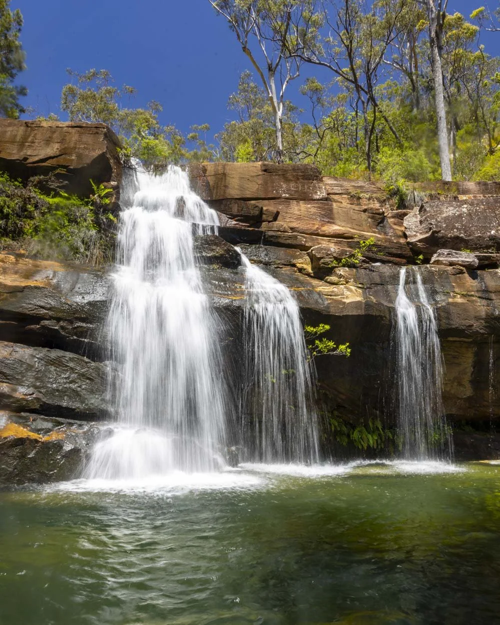 Scouts Falls