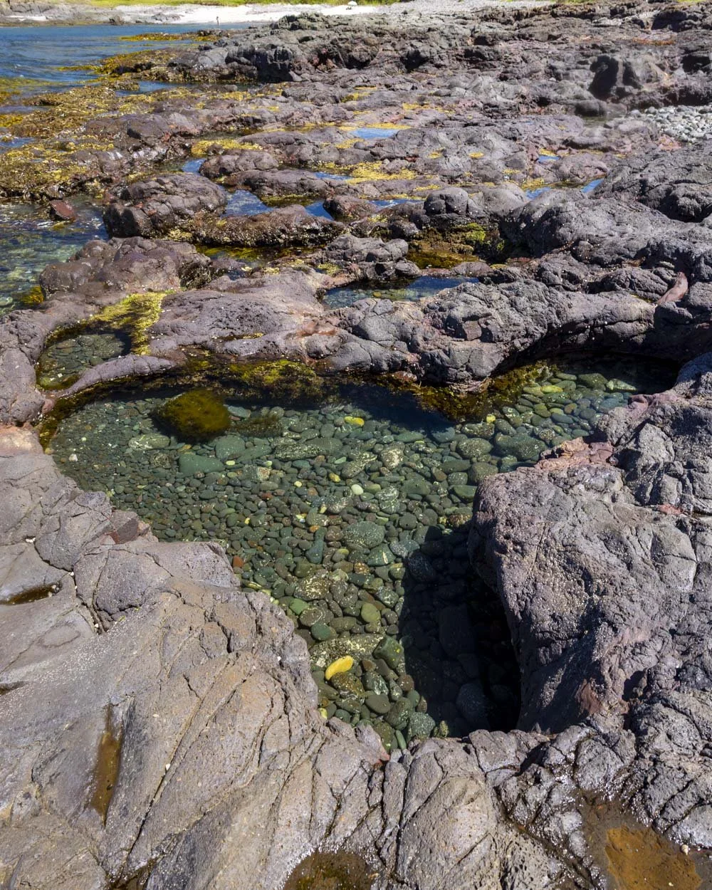 How to find Shellharbour's secret rockpools at Maloneys Bay — Walk My World