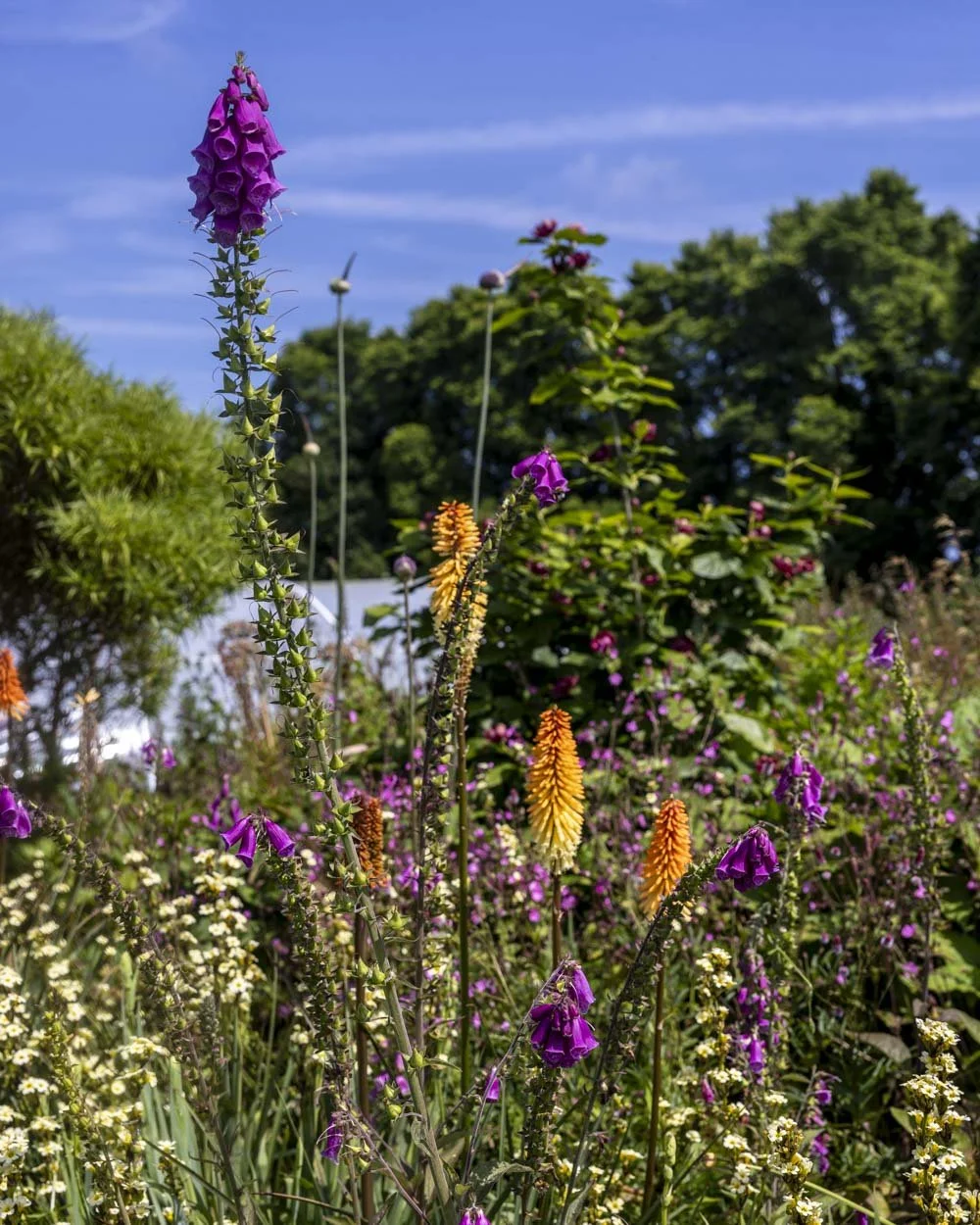 kestle barton cafe